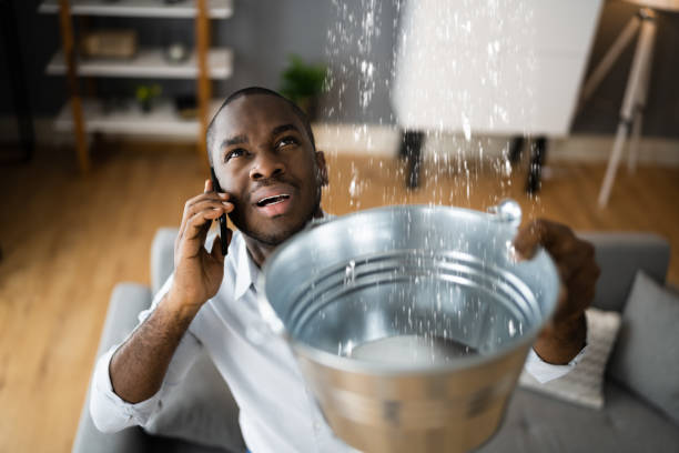 Best Ceiling water damage repair  in Kentwood, MI