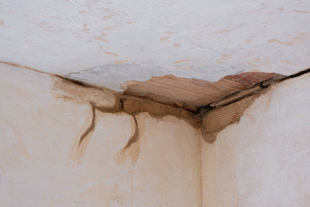 Best Mold removal after water damage  in Kentwood, MI