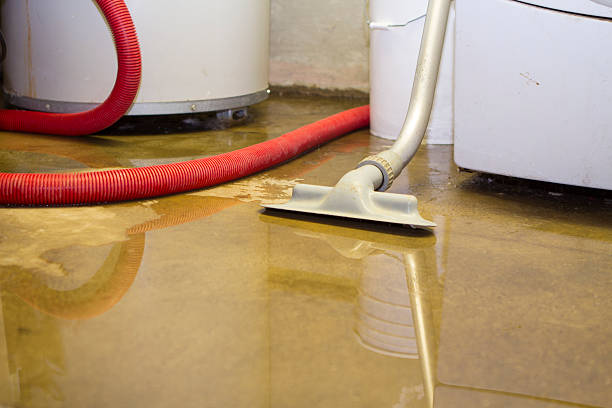 Best Fire Damage Restoration  in Kentwood, MI
