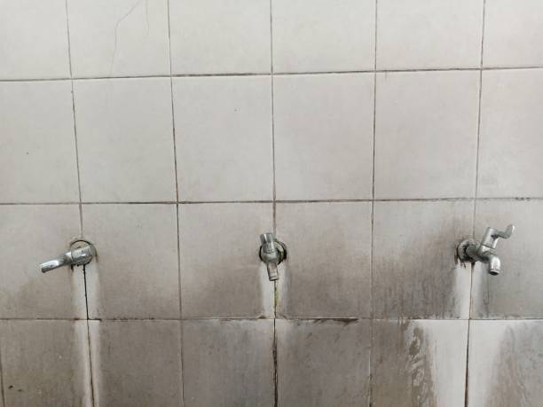 Best Carpet water damage restoration  in Kentwood, MI
